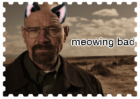 meowing bad